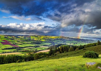 Scenic view of agricultural field against dramatic sky