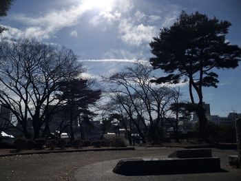 Bare trees against sky