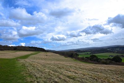 Scenic view of agricultural field against sky