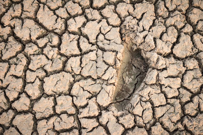 Full frame shot of cracked land