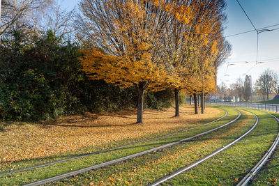 View of railroad tracks by trees during autumn