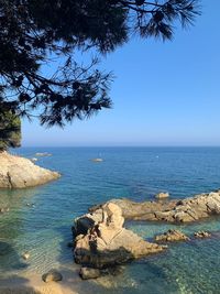 Scenic view of sea against clear sky