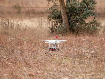 Airplane flying over field