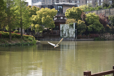 View of building by lake