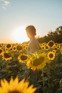 Rear view of woman standing amidst flowers