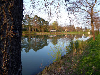 Reflection of trees in lake against sky