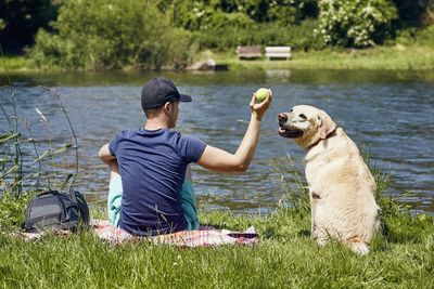 Rear view of man with dog sitting by lake