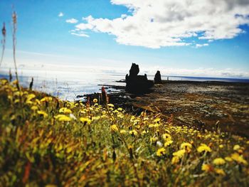 Scenic view of sea against sky