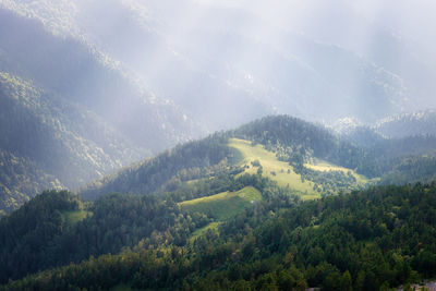 Scenic view of landscape