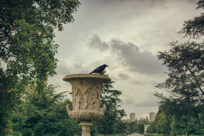 Low angle view of bird on fountain amidst trees in park