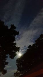 Silhouette trees against sky at night