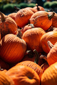 Close-up of pumpkins for sale at market stall