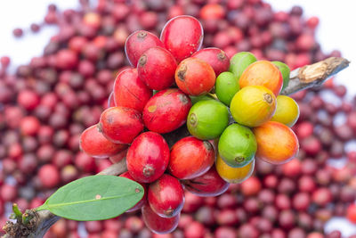 Close-up of strawberries