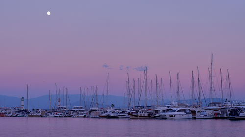 Boats in harbor