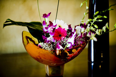 Close-up of multi colored flowers in vase