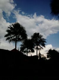 Silhouette of trees at sunset