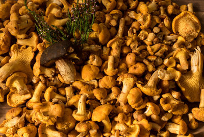 Full frame shot of mushrooms at market