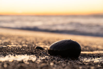 Close-up of pebble on beach against sky during sunset