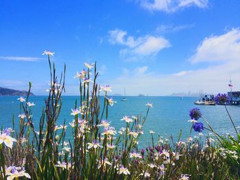 Scenic view of sea against blue sky