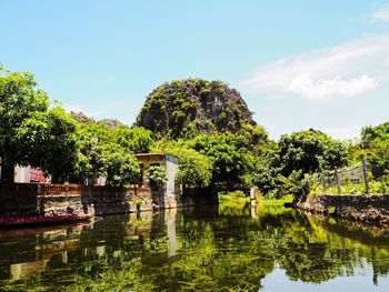 Reflection of trees in lake