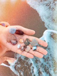 Close-up of woman hand holding seashells at beach