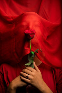 Midsection of man holding red rose