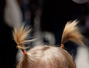 Cropped image of girl with pigtails