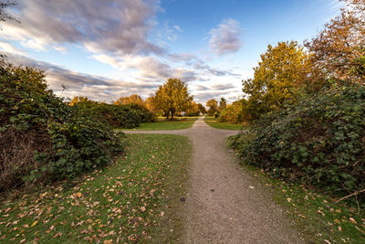 Road amidst trees against sky