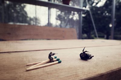 Toy soldier on matchsticks shooting dead insect on table