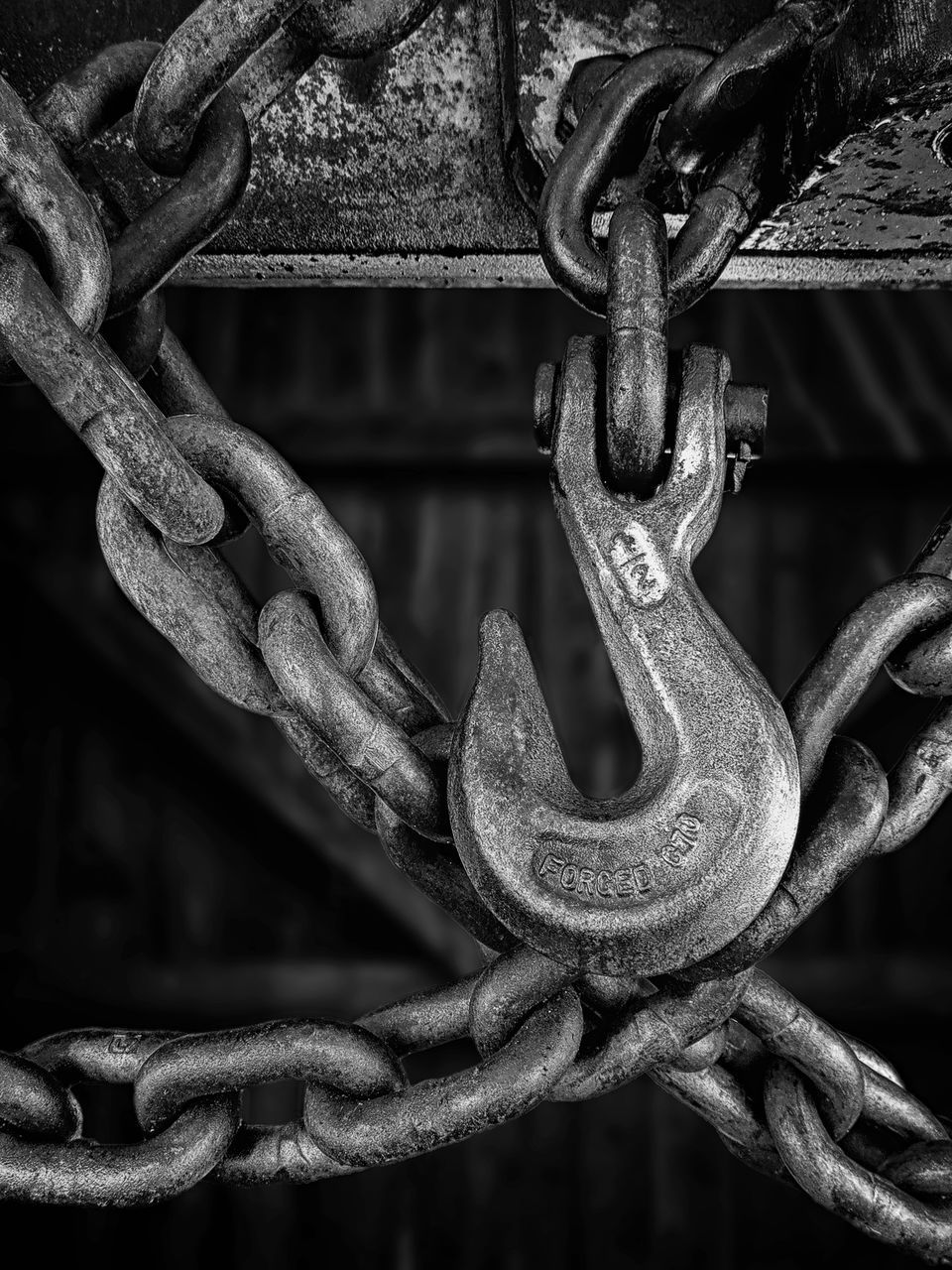 CLOSE-UP OF RUSTY METAL CHAIN ON BRANCH