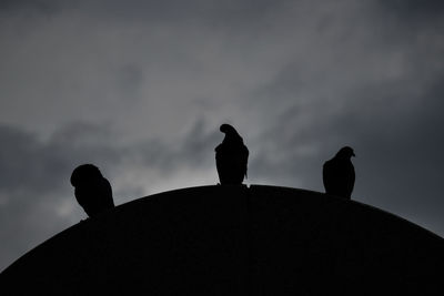 Low angle view of silhouette birds on roof against sky