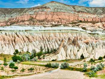 Scenic view of landscape with mountain in background