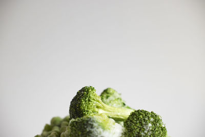 Frozen broccolis against gray background