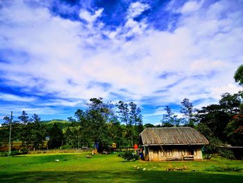 House and trees on field against sky