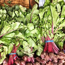 Vegetables for sale in market