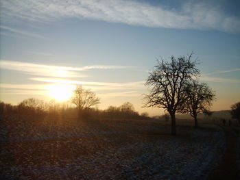 Bare trees on landscape against sky at sunset