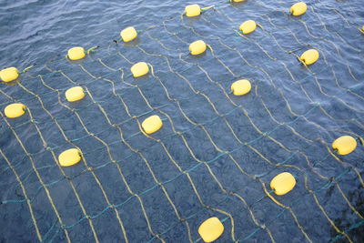High angle view of yellow floating on water