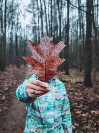 Midsection of person holding maple leaf in forest