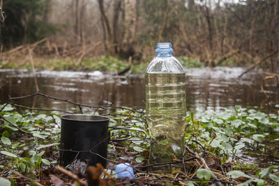 View of bottle and water in forest