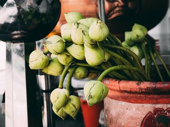 Close-up of fruits for sale at market stall