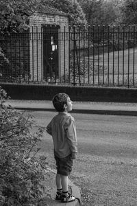 Rear view of young boy looking in wonder 