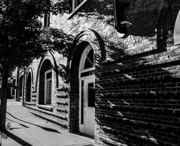 Tree by buildings