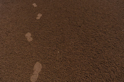 High angle view of footprints on sand