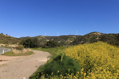 environment