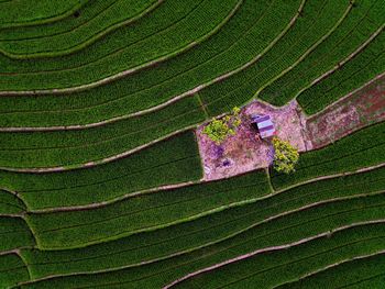 Aerial view of indonesian rural area with mountains and rice fields in the morning