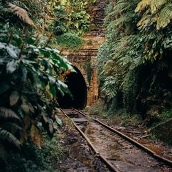Railroad track passing through tunnel