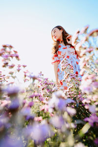 Beautiful pretty woman in a margaret aster flowers fields at chiang mai, thailand