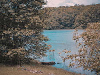 Scenic view of lake against sky