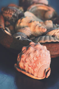 Close-up of a shell