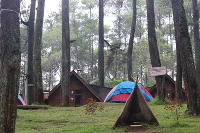 Tent on field by trees in forest